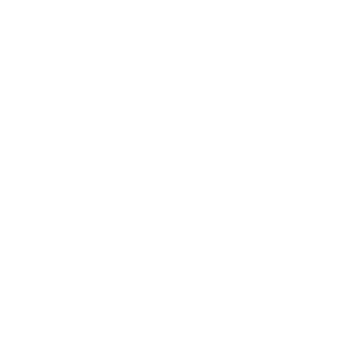 Liscio Storage Inc